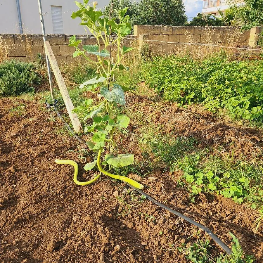 Appartamento A un Passo dal Tramonto Marsala Italia